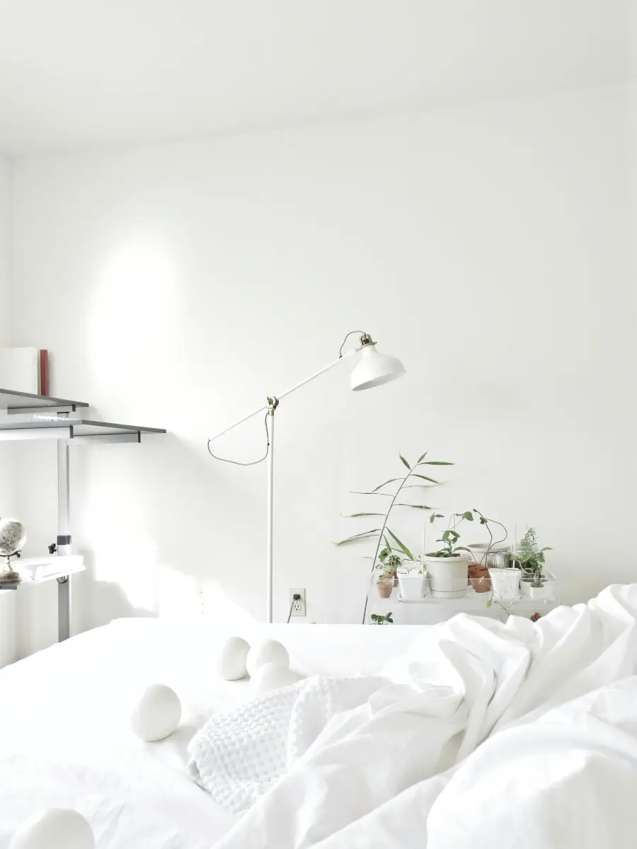 pglife — Comfortable PG Room Interior pglife Room Interior